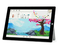 耿马Surface 无法开启、Windows 无法启动或电池无法充电